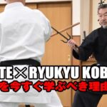 「空手と武器術の共通術理」祖父江利久（琉球古武道普及会）Common Techniques of Karate and Weaponry by Sofue Toshihisa