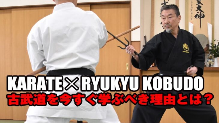 「空手と武器術の共通術理」祖父江利久（琉球古武道普及会）Common Techniques of Karate and Weaponry by Sofue Toshihisa