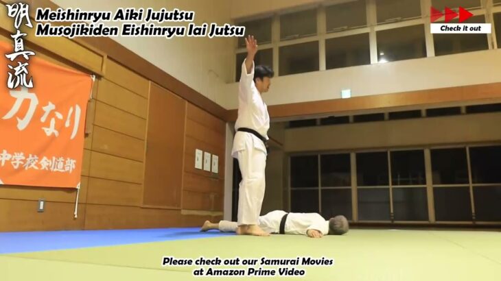 Meishinryu Aikido techniques 明真流　合気道の稽古 2023 0512