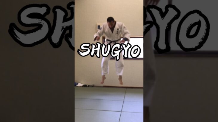 SHUGYO #合気道　#mma #武道　#martialarts #筋トレ　#workout