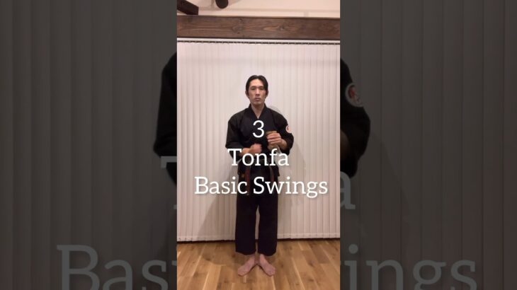 Tonfa 3 Basic Swings | Ryukyu kobudo #shorts #tonfa #kobudo #トンファー #古武道