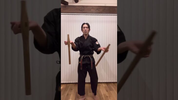 Tonfa Figured 8 Swing ☝️| Ryukyu kobudo #tonfa #kobudo #トンファー #古武道 #martialart