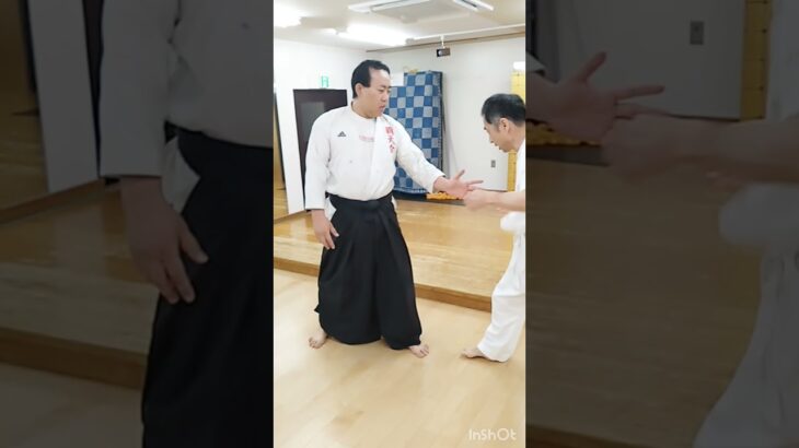 つながる合気4／藤崎天敬筆頭師範／合気道覇天会The Power of Connected Aiki / Tenkei Fujisaki Head Teacher / Aikido Hatenkai
