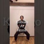 Kobudo practice at home 🏠 | Ryukyu kobudo #kobudo #古武道 #tonfa #トンファー #sai #釵