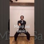 Manji Sai Basics 🔥| Ryukyu Kobudo #kobudo #martialart #shorts #古武道 #sai #釵