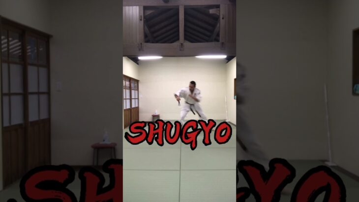 SHUGYO #合気道　#mma #武道　#martialarts #筋トレ　#workout