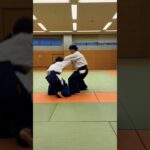 VOL11.Japanese martialarts techniques from 相生道”souseidou” #martialarts #budo #武道