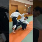 VOL6.Japanese martialarts techniques from 相生道”souseidou” #martialarts #budo #武道