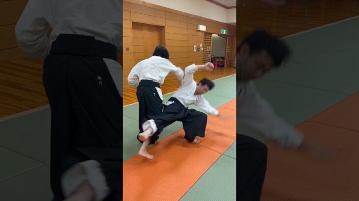 VOL6.Japanese martialarts techniques from 相生道”souseidou” #martialarts #budo #武道