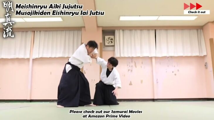Meishinryu Aikido techniques 明真流　合気道の稽古 2023 0725 01