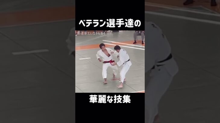 【柔道】ベテラン選手達の華麗な技集｜Splendid techniques of veteran judoka