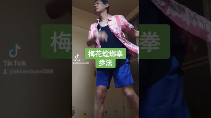 中国武術　梅花螳螂拳　　歩法