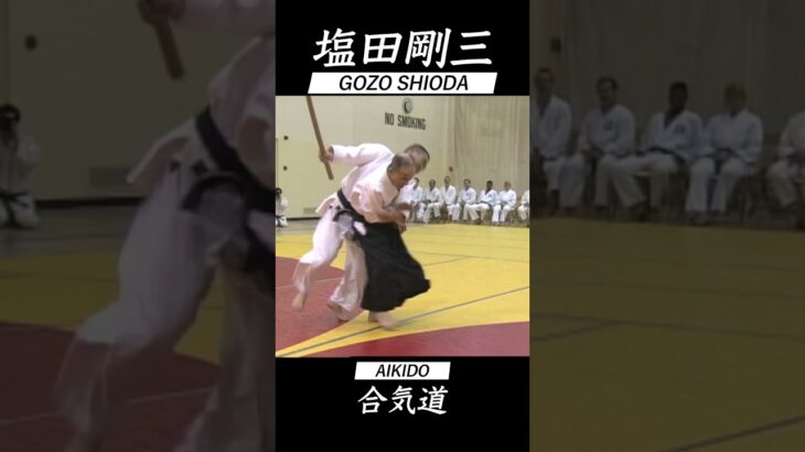 合気道 塩田剛三 セミナー vol.11 AIKIDO GOZO SHIODA Seminar 達人の技 #shorts