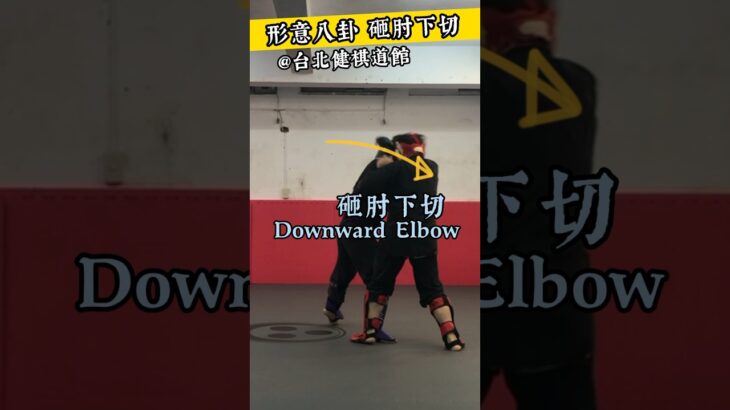 Down elbow【健棋道館】砸肘下切 #martialarts #武術 #sparring #功夫 #形意拳 #kungfu #八卦掌 #fight #kickboxing #muaythai