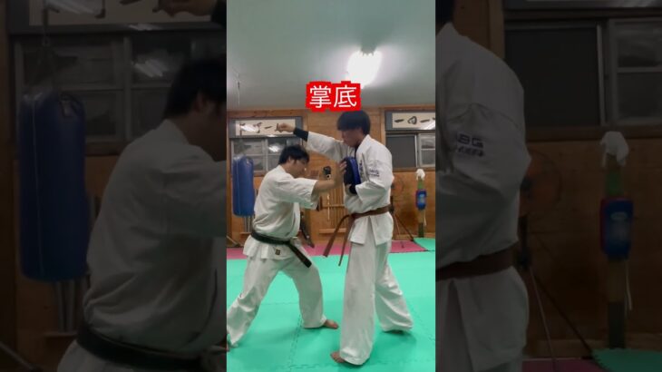 【空手】掌底　種類！！#aikido ＃karate #martial #合気道 #武道 #空手
