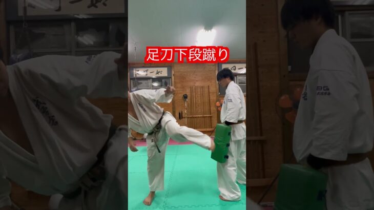 【空手】足刀　下段蹴り！！#aikido ＃karate #martial #合気道 #武道 #空手