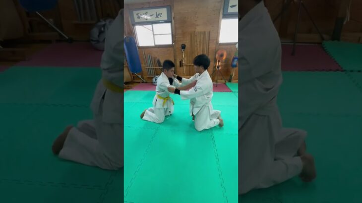 【合気道】座った状態で強くなる練習！！#aikido #martial #合気道 #武道 #空手