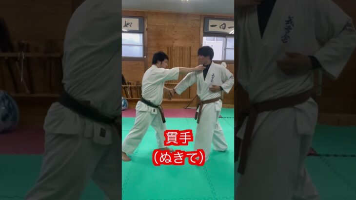 【空手】多彩な打撃技　karate！！#aikido #martial #合気道 #武道 #空手