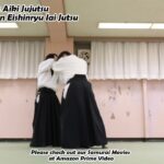 Meishinryu Aikido techniques 明真流　合気道の稽古 2023 1012 02
