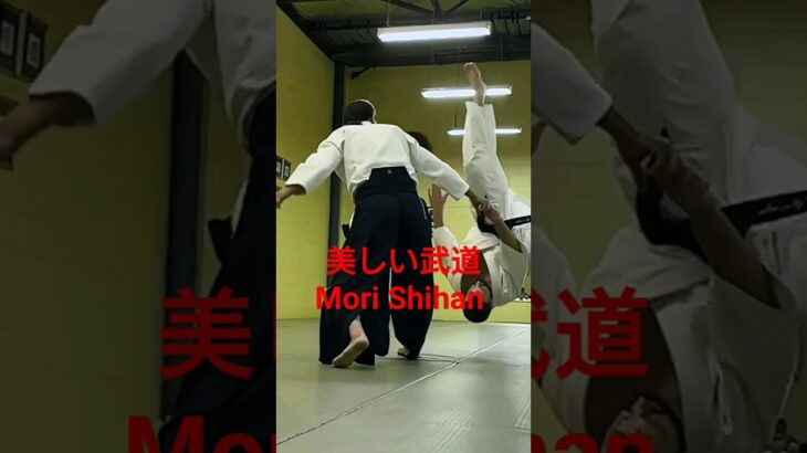 Mori Shihan 8thDan『美しい日本の武道』森道治師範八段 [ Beautiful Budo ] Goshu-Ryu Aiki Jujutsu 豪州流合氣柔術