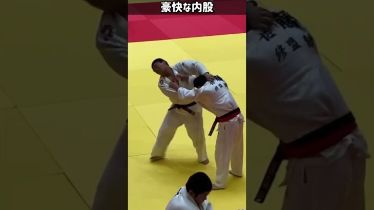 【柔道】重量級選手の豪快で軽快な内股｜Powerful nimble uchimata by heavy weight Judoka