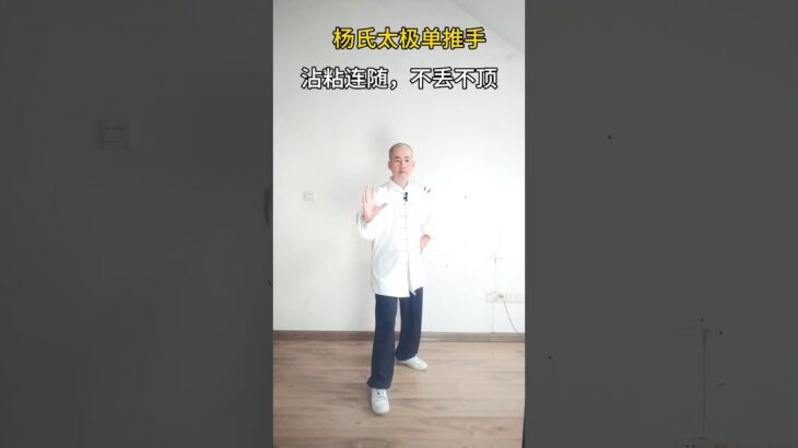 太極推手Tui Shou (pushing hands) #太極拳 #武術 #武