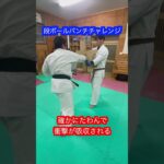 【武道】段ボールをパンチで貫通するのはかなり難しいらしい！！#aikido ＃karate #martial #合気道 #武道 #空手