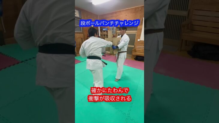 【武道】段ボールをパンチで貫通するのはかなり難しいらしい！！#aikido ＃karate #martial #合気道 #武道 #空手