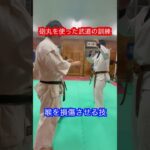 【武道】鉄球を使ったトレーニングと実戦の活用方法！！#aikido ＃karate #martial #合気道 #武道 #空手