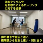 武道空手稽古MMA応用／低空タックル・足を取りにくるローリングへの迎撃