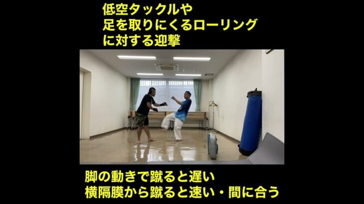 武道空手稽古MMA応用／低空タックル・足を取りにくるローリングへの迎撃