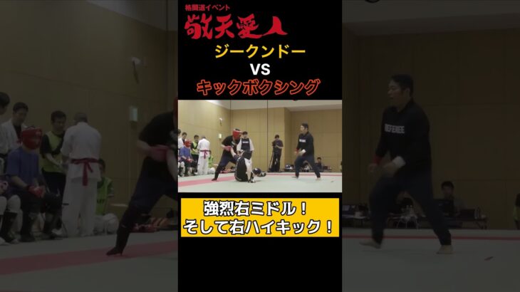 【ジークンドーVSキックボクシング】#格闘道イベント #敬天愛人 #武術 #格闘技  #武道 #bujutsu #budo #karate #MMA