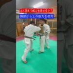 【空手】打撃の威力は２人目まで通るのか！！#aikido ＃karate #martial #合気道 #武道 #空手