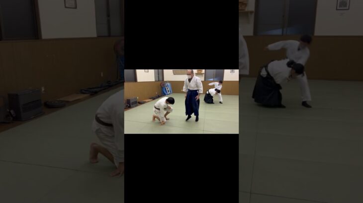 Aikido training with master #japanesemartialarts #karate #修行 #武術 #martialarts #合氣道 #武道 #稽古