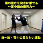 武道空手稽古MMA応用／頭の重さを突きに乗せる／首の鞭身