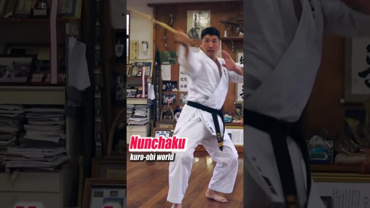 This is the Nunchaku of Ryukyukobudo !