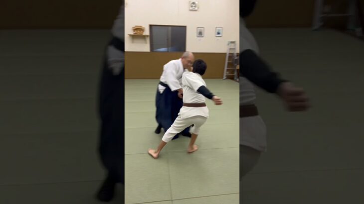 aikido  basic for beginners !!#japanesemartialarts #karate #修行 #武術 #martialarts #合氣道 #武道 #稽古
