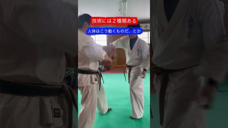 【武道】技術　テクニックには２種類ある！！　#aikido ＃karate #martial #合気道 #武道 #空手