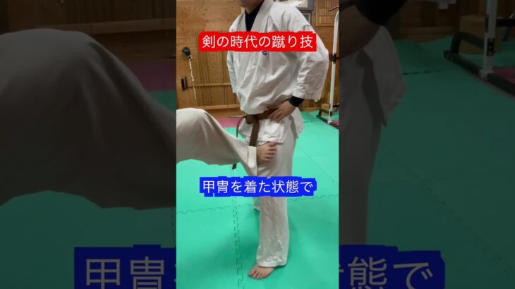 【武道】剣の時代の蹴り技！！　#aikido ＃karate #martial #合気道 #武道 #空手