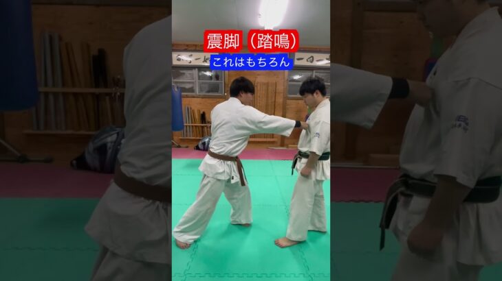 【武道】中国武術や古武道にある震脚って何！？　#aikido ＃karate #martial #合気道 #武道 #空手