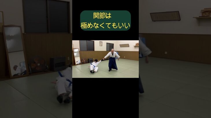 Hakama level technique#武道 #修行 #武術 #martialarts #japanesemartialarts #合氣道 #samurai #稽古 #合気