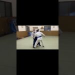 aikido training#武道 #修行 #武術 #martialarts #japanesemartialarts #合氣道 #samurai #稽古 #合気