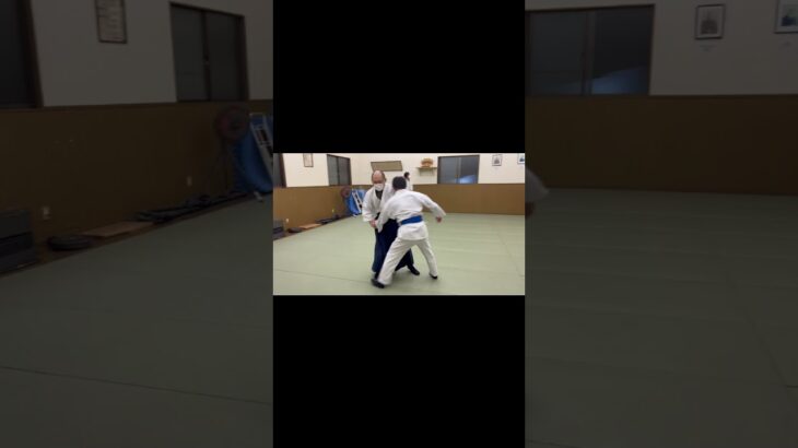 aikido training#武道 #修行 #武術 #martialarts #japanesemartialarts #合氣道 #samurai #稽古 #合気