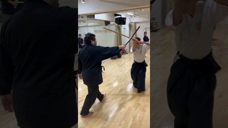 古武術の技法　先端を重くする　#kenjyutu #martialarts #剣術 #samurai