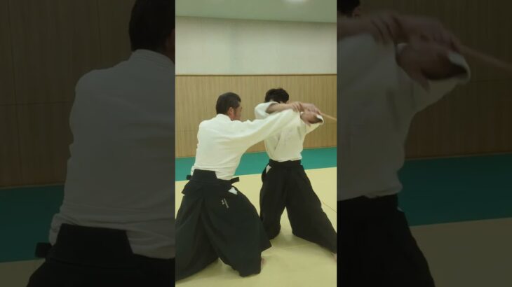 1/8 合気道加藤道場 短刀取り一教、片手取り一教 #合気道 #加藤道場 #aikido #katohdojo #武道 #budo