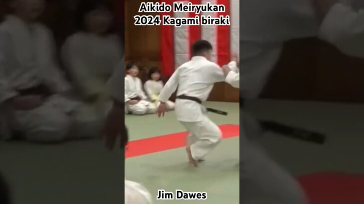 Aikido Meiryukan 2024 Kagami biraki demonstration- Jim Dawes #aikido #合気道 #武道 #martialart