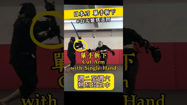 單手斬下 Cut Arm【健棋道館】#martialarts #武術 #功夫 #kungfu #hema #fencing #kendo #shorts #剣道 #sport