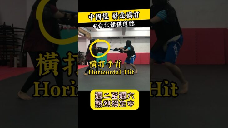 斜走橫打 Horizontal Hit【健棋道館】#martialarts #功夫 #武術 #kungfu #hema #fencing #kendo #shaolin #demonslayer