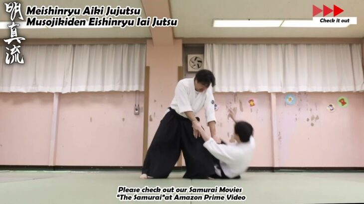 Meishinryu Aikido techniques 明真流　合気道の稽古 2024 0215 02