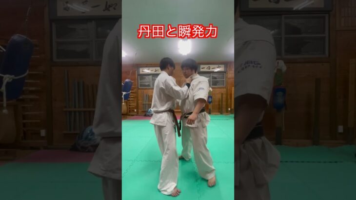 【武道】丹田と瞬発力の関係！！　#aikido ＃karate #martial #合気道 #武道 #空手